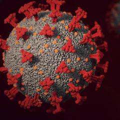 Researchers have developed a mathematical model that can predict the efficacy of COVID-19 vaccines.