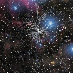 Researchers have discovered the human brain’s enhanced processing power may stem from differences in the structure and function of our neurons.