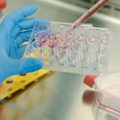 Queensland Brain Institute (QBI) researchers will dive deeper into the mysteries of the brain after gaining funding from the Australian Government.