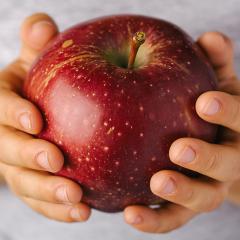 Researchers have found children in disadvantaged communities often go hungry when they attend early education and childcare centres.