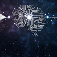 How the human brain adapts to external stimulation – an important mechanism for species survival – has been made clearer at the Queensland Brain Institute.
