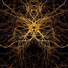 A Guardian of the Galaxy, found deep inside the brain, has stolen the the limelight in the 2022 QBI Art in Neuroscience Image Competition.