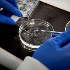 Podcast: The fundamentals of basic science