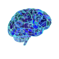 Podcast: Why the brain still keeps us guessing