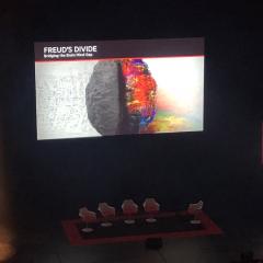 Podcast: Bridging the brain-mind gap, Freud's Divide, at the World Science Festival Brisbane