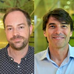  Podcast: Why making sense of nature matters to your health
