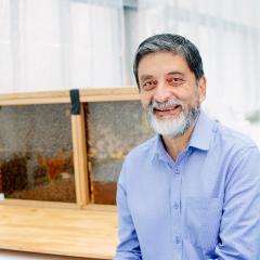 Podcast: Birds, bees and brains