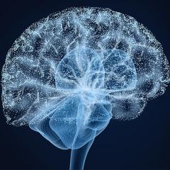Understanding the brain to treat depression