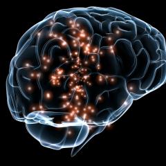 Brain stimulation can alter activity throughout the connected networks of the brain, Queensland research finds.