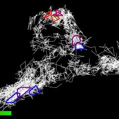 Real-time tau clusters identified in this live neuron. Bar indicates time