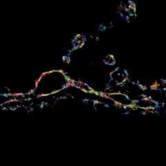Breakthrough QBI imaging captures how brain cells communicate.