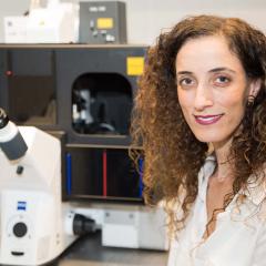 After a national search, Dr Lilach Avitan has been named a Superstar of STEM. (Image: Nick Valmas / QBI)