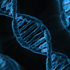 Scientists have identified a location on the genome associated with MND, providing new avenues for research into potential treatments.