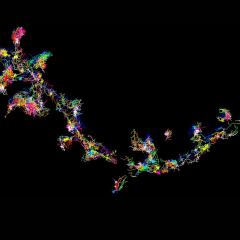 The signalling protein Fyn moving and forming clusters in living brain cells - viewed using super-resolution microscopy.