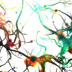 Coloured microscopy of brain cells firing
