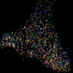 Researchers have found a way to track the formation of protein clusters in live cells.