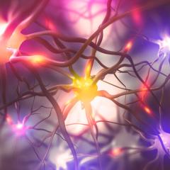 World-first research links key brain mechanism to memory loss